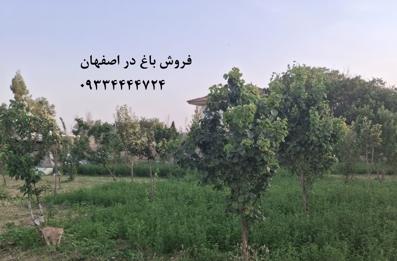 خرید زمین باغی اشکاوند اصفهان