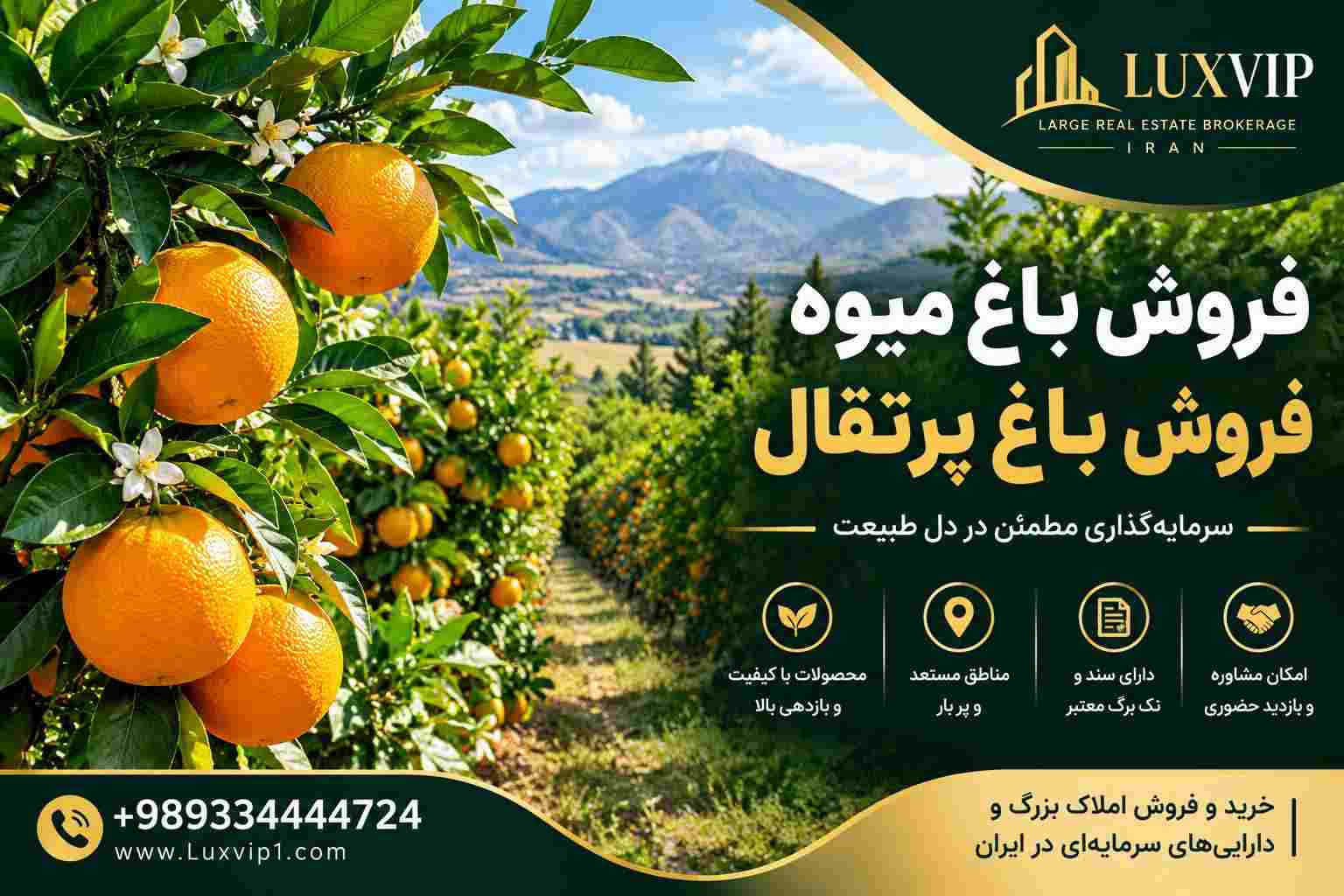 فروش باغ پرتقال در شمال
