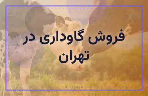 فروش گاوداری 150 راسی در تهران