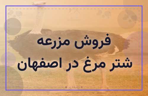 فروش مزرعه شتر مرغ در اصفهان