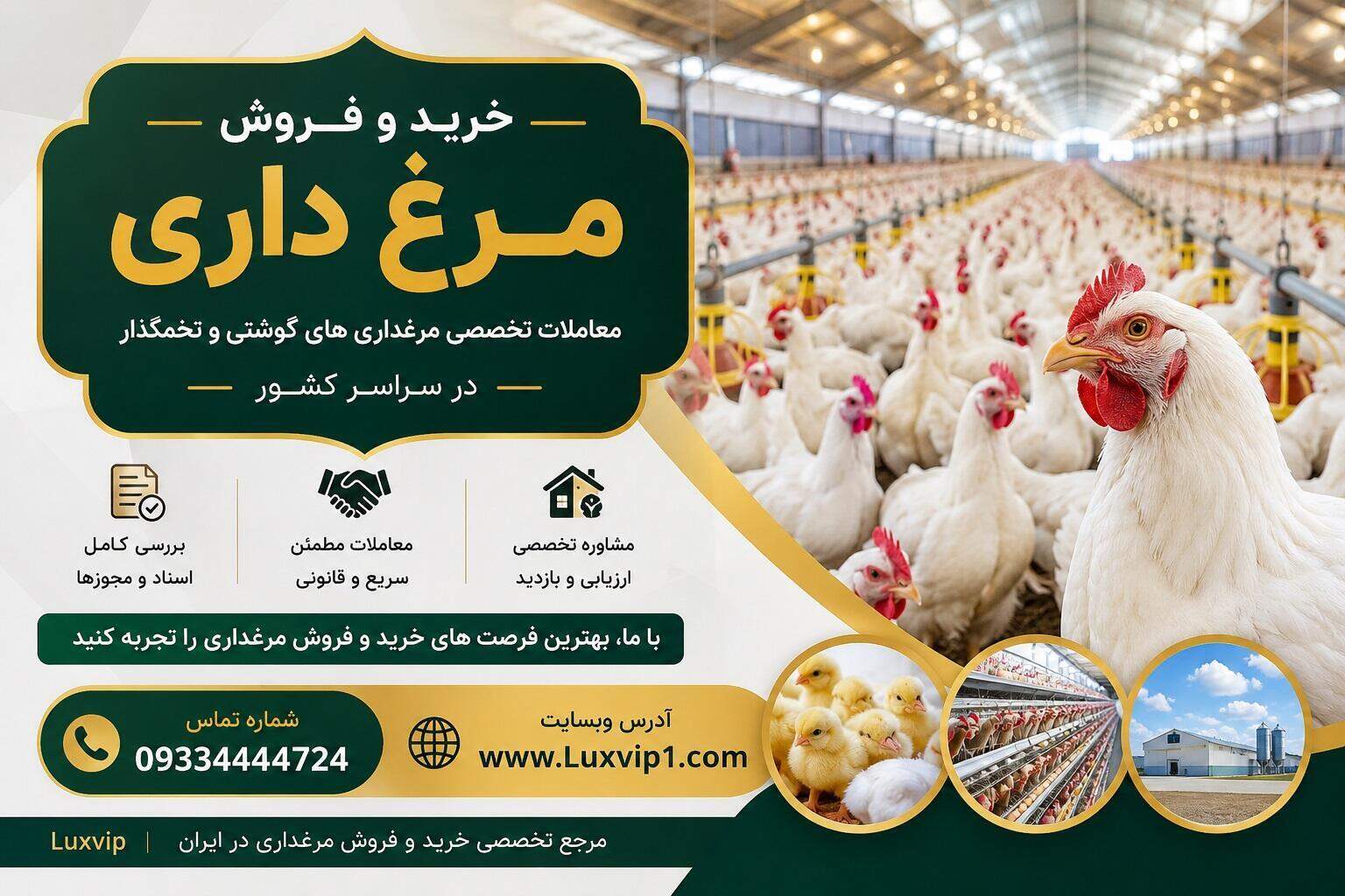 خید مرغ داری