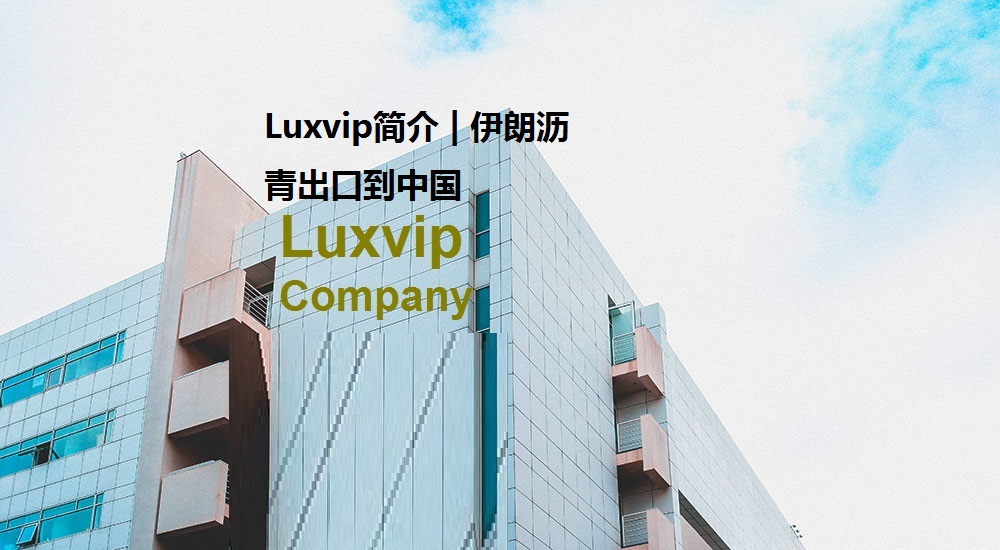 Luxvip 伊朗沥青出口